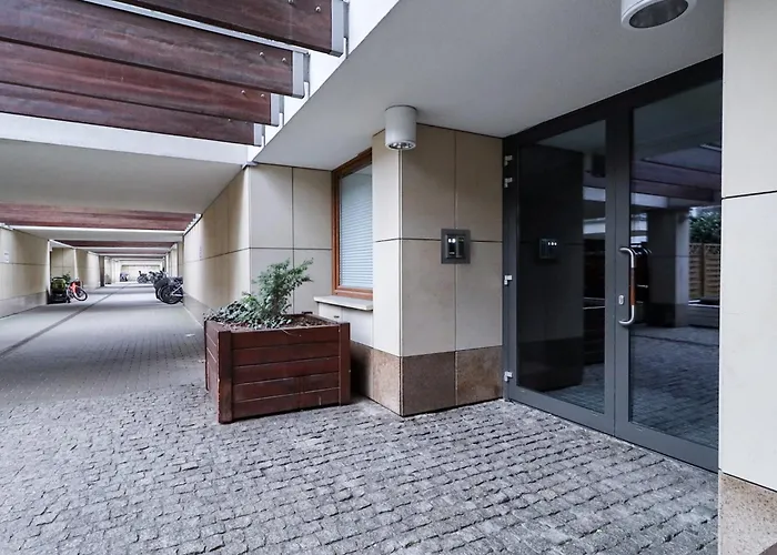 Six Dreams Spot * Poznaň